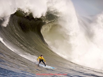 黑白体育直播-世俱杯球员技术特点详细解析及战术匹配度评估