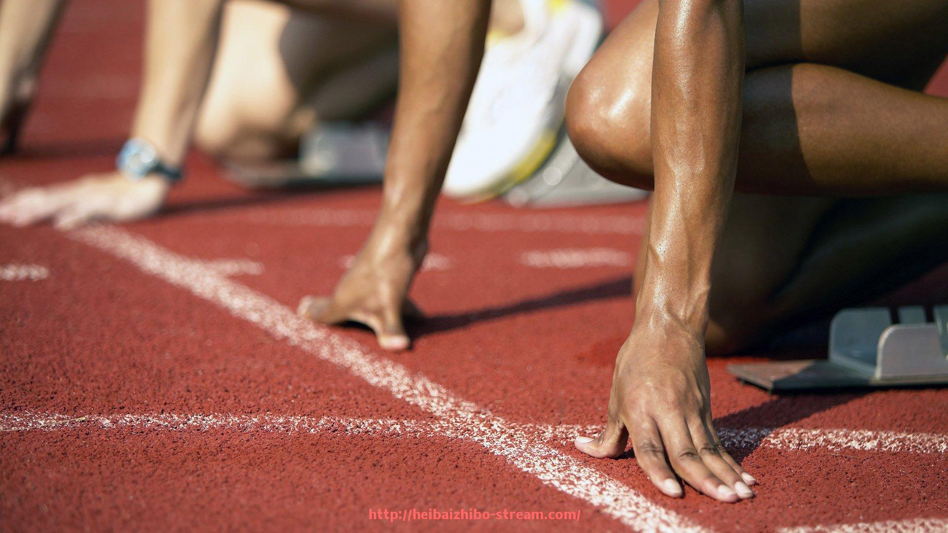 黑白体育直播-健身器材侧身训练部位与核心力量锻炼组合